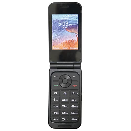 Top Flip Phone (No Web Browser)